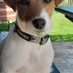 Roganty Appartement Giżycko