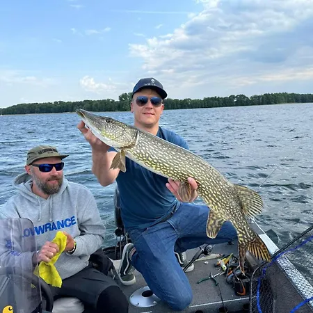 Roganty 기지크코