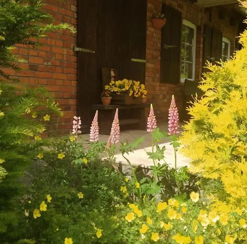 아파트 Roganty 기지크코