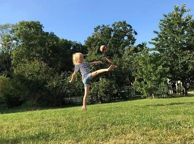 Roganty * 기지크코